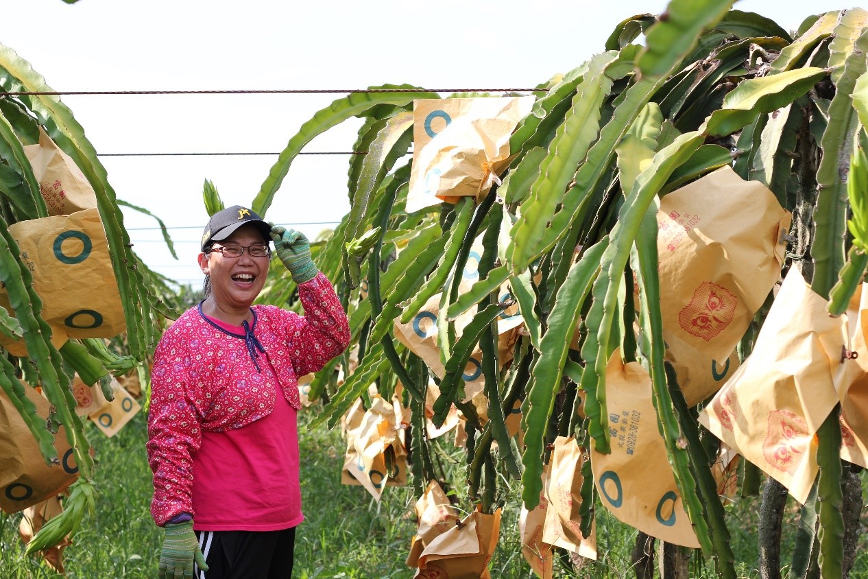 佳維農JVNO農場-陳佳鈴