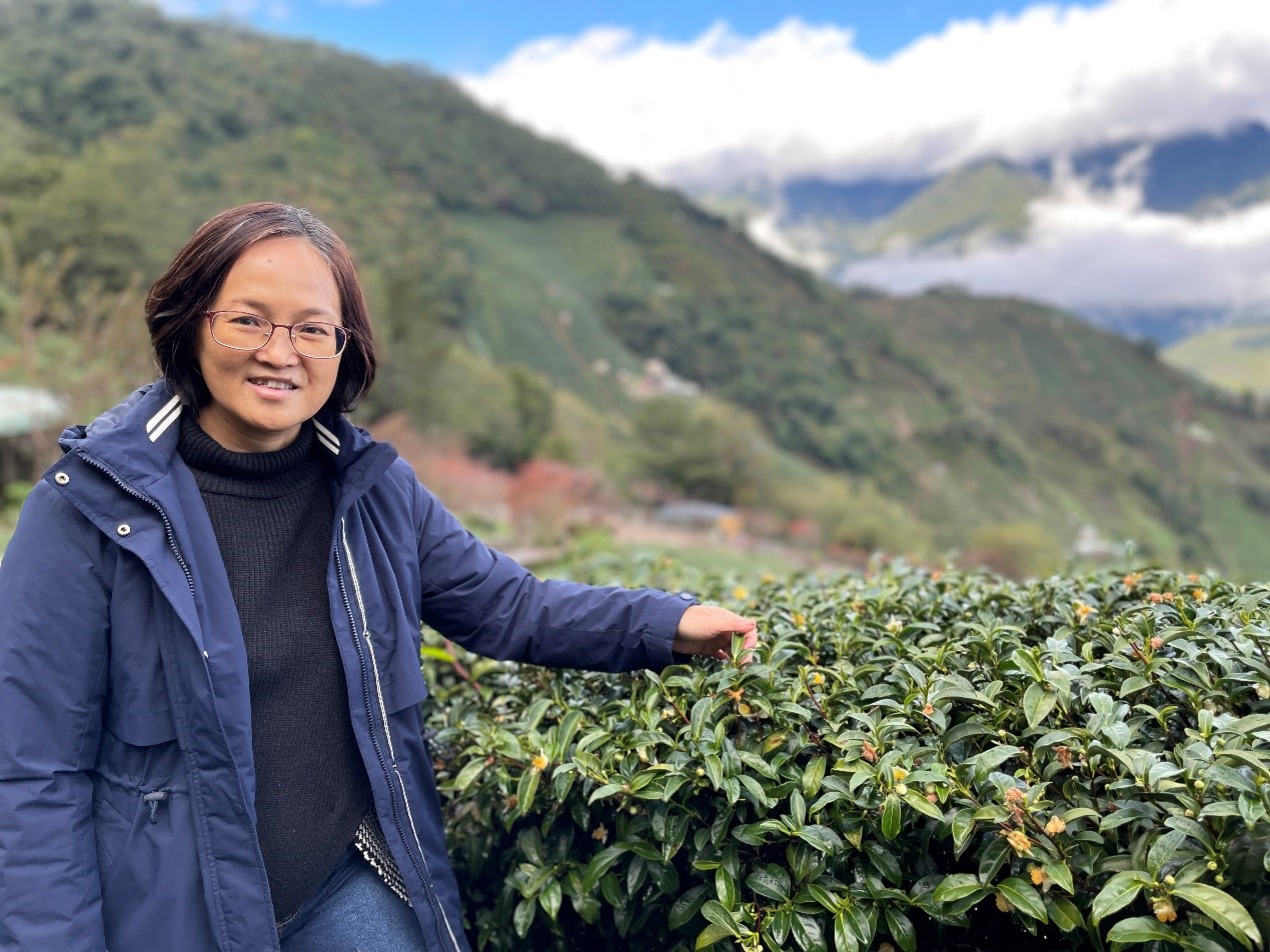 古邁茶園-陳婉萍